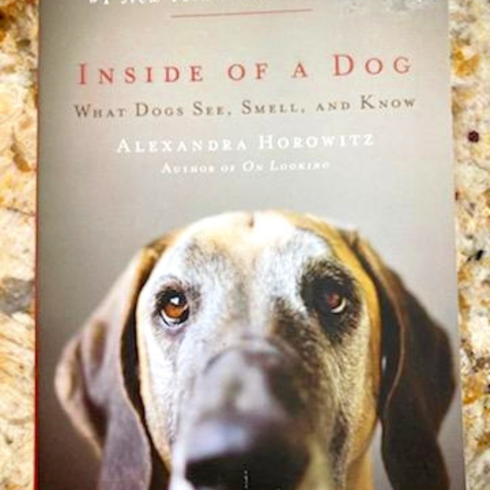 GIFT DOG BOOK What Dogs SEE SMELL & KNOW -BestSeller NY TIMES